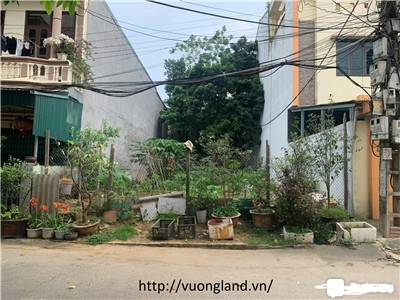 Bán  Lô đất Phố Hàn Thuyên mặt tiền 8m2